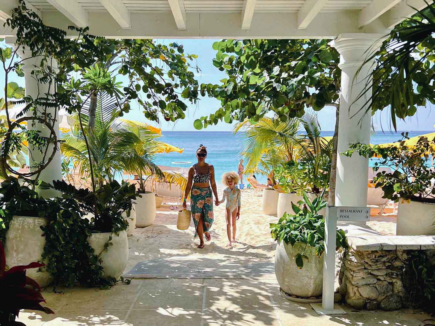 Palm Heights A lush approach to and from the beach and pools — every pathway is framed with nature